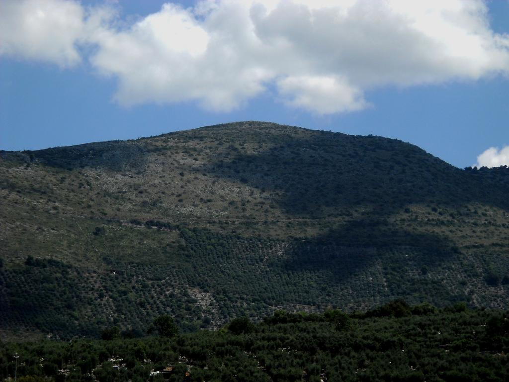 Alloggio per agriturismo Casale Ré