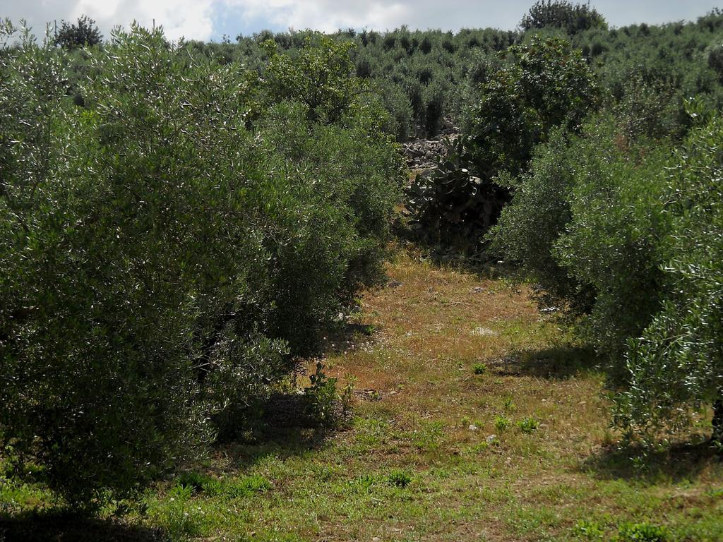 Alloggio per agriturismo Casale Ré